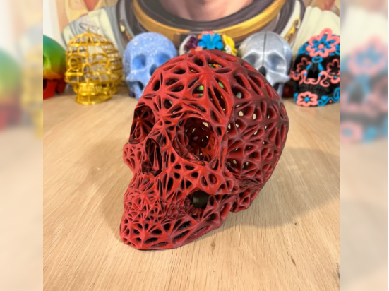 skull